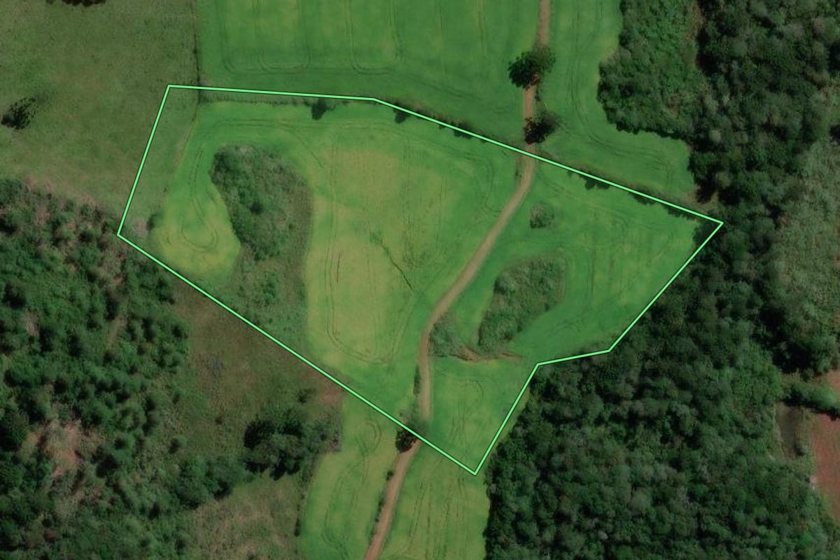 Imagem de satélite do imóvel rural em Vargem (SC), com o contorno declarado no CAR desenhado por cima.