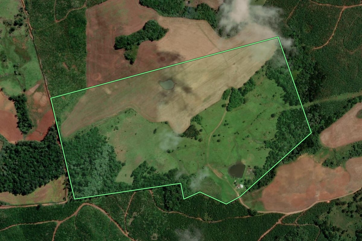 Imagem de satélite do imóvel rural em Vargem (SC), com o contorno declarado no CAR desenhado por cima.
