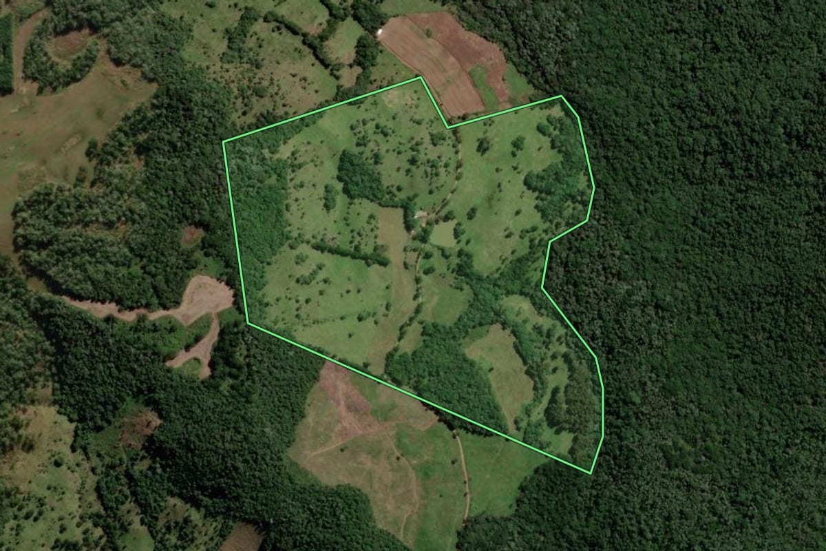 Imagem de satélite do imóvel rural em Vargem (SC), com o contorno declarado no CAR desenhado por cima.