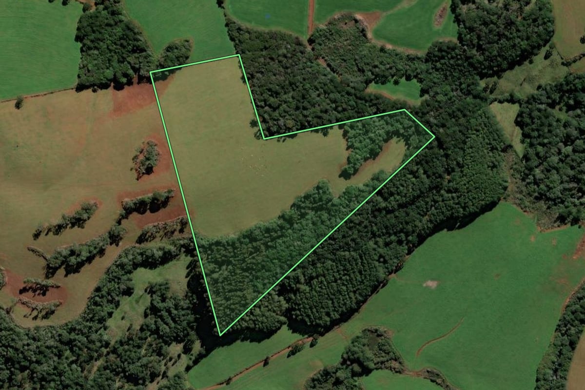 Imagem de satélite do imóvel rural em Vargem (SC), com o contorno declarado no CAR desenhado por cima.