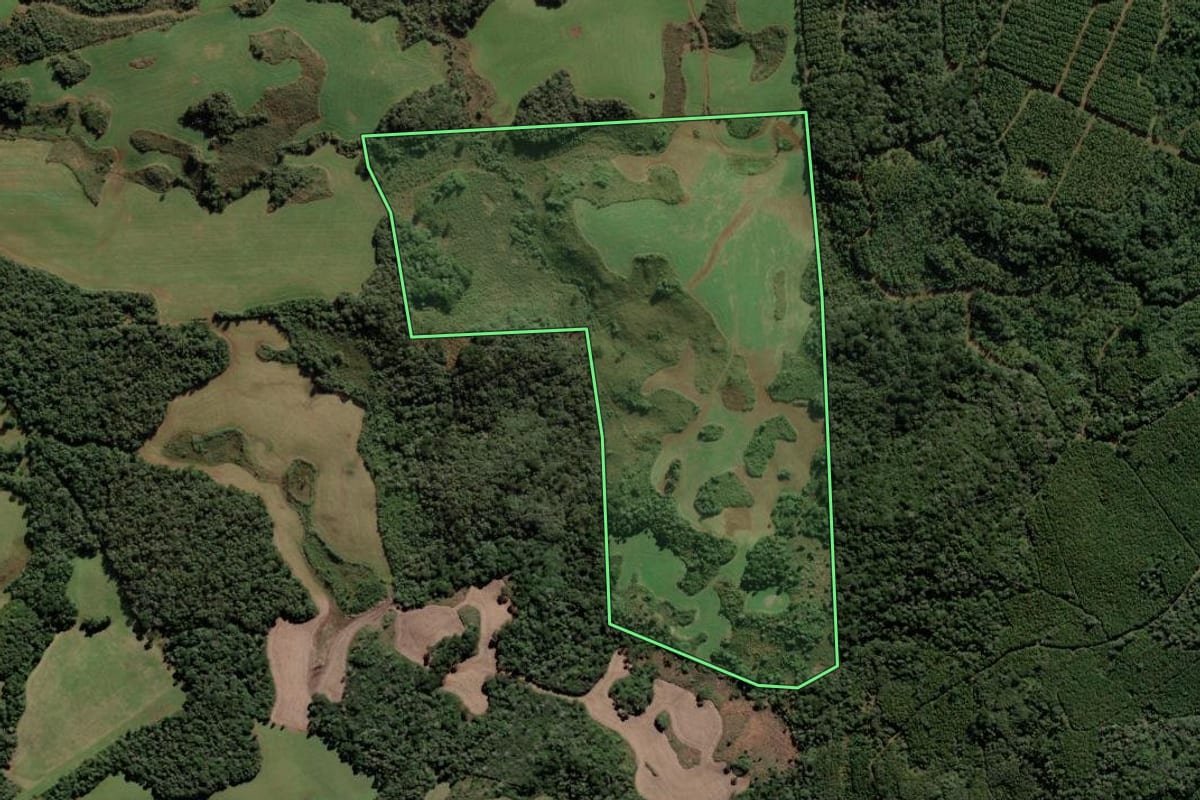 Imagem de satélite do imóvel rural em Vargem (SC), com o contorno declarado no CAR desenhado por cima.