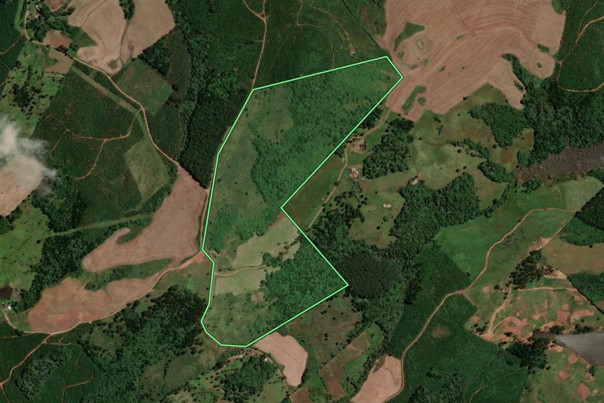 Imagem de satélite do imóvel rural em Vargem (SC), com o contorno declarado no CAR desenhado por cima.
