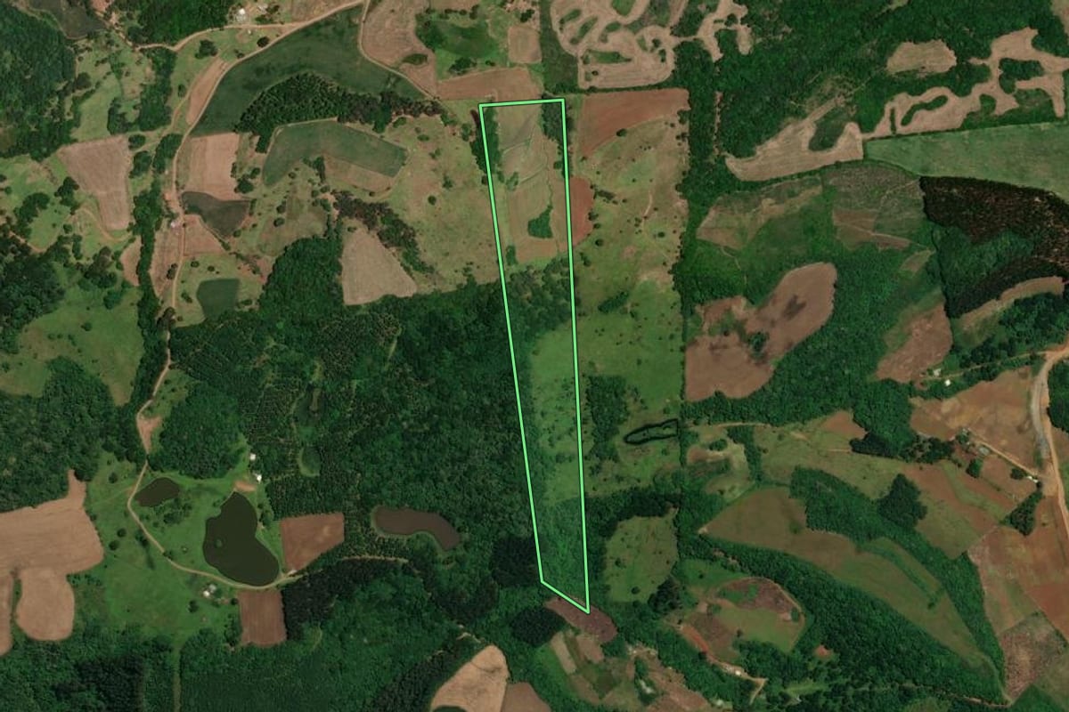 Imagem de satélite do imóvel rural em Vargem (SC), com o contorno declarado no CAR desenhado por cima.