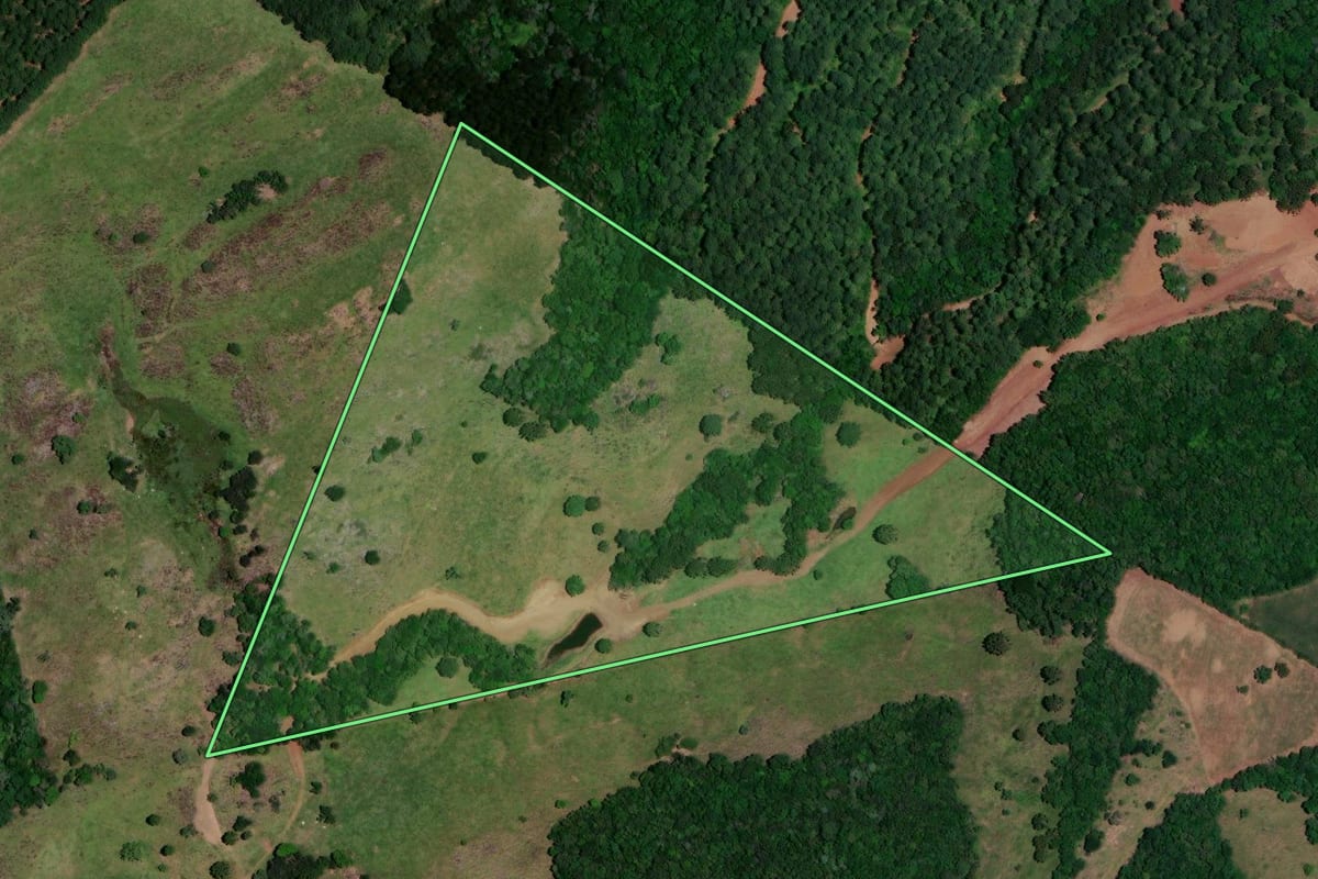 Imagem de satélite do imóvel rural em Vargem (SC), com o contorno declarado no CAR desenhado por cima.