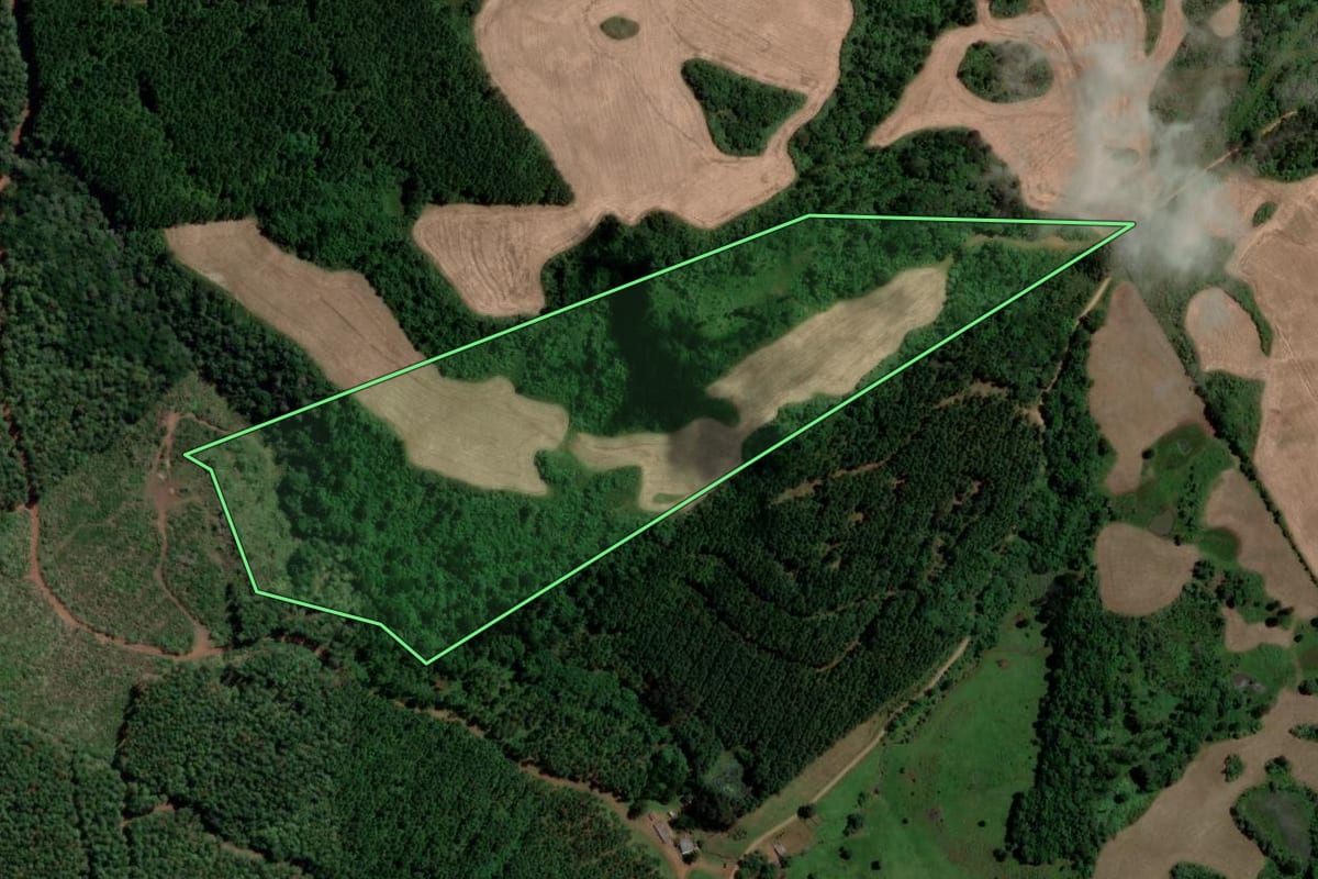Imagem de satélite do imóvel rural em Vargem (SC), com o contorno declarado no CAR desenhado por cima.