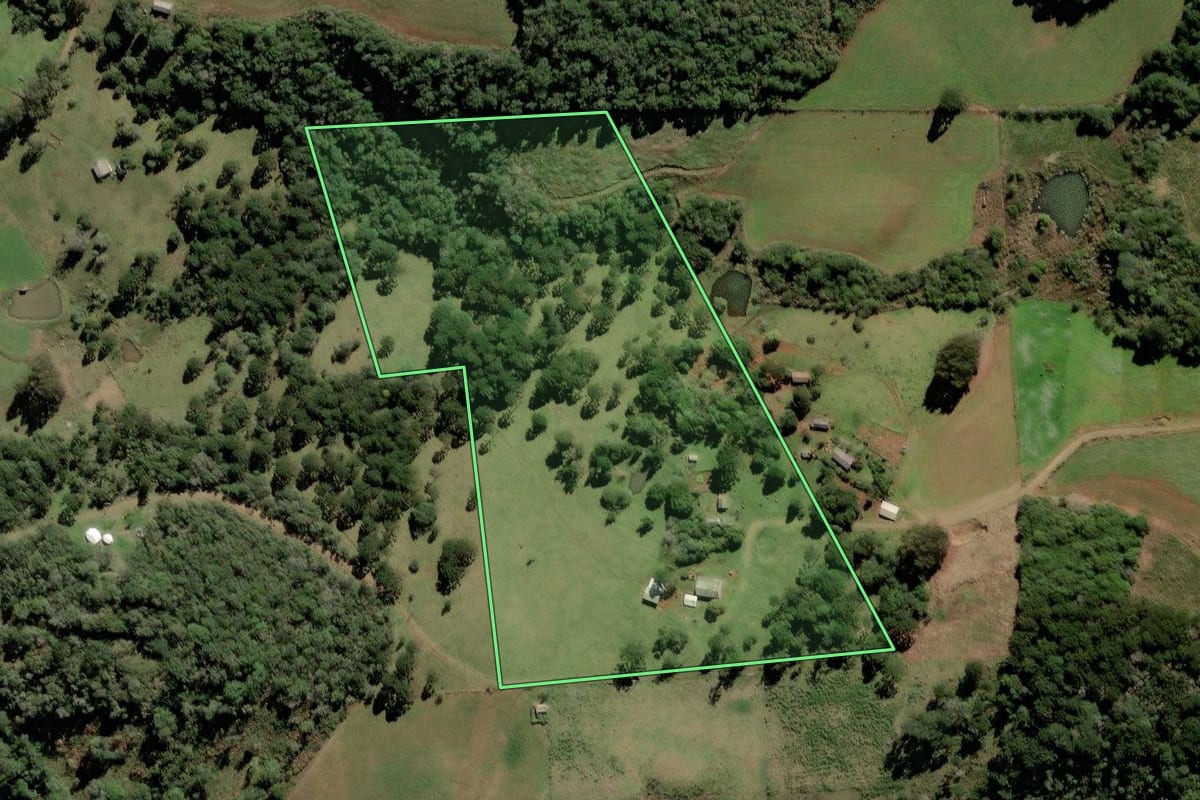 Imagem de satélite do imóvel rural em Vargem (SC), com o contorno declarado no CAR desenhado por cima.