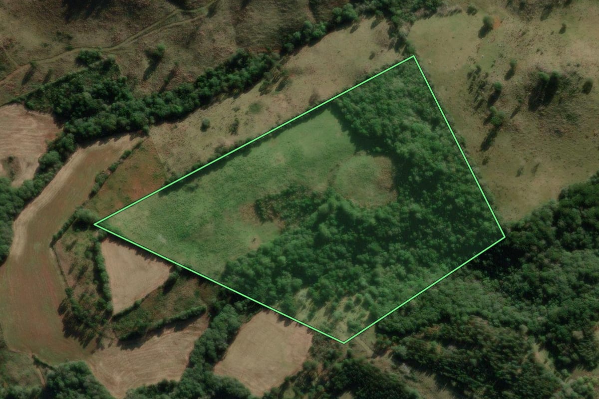 Imagem de satélite do imóvel rural em Vargem (SC), com o contorno declarado no CAR desenhado por cima.