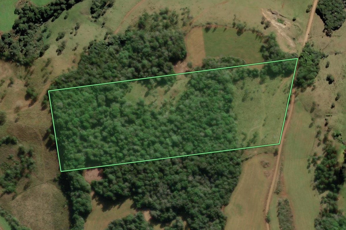 Imagem de satélite do imóvel rural em Vargem (SC), com o contorno declarado no CAR desenhado por cima.