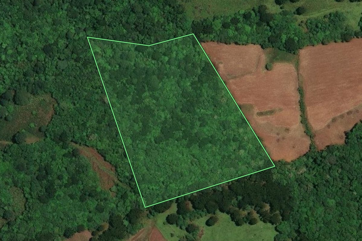 Imagem de satélite do imóvel rural em Vargem (SC), com o contorno declarado no CAR desenhado por cima.