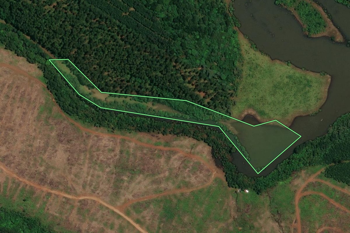 Imagem de satélite do imóvel rural em Vargem (SC), com o contorno declarado no CAR desenhado por cima.