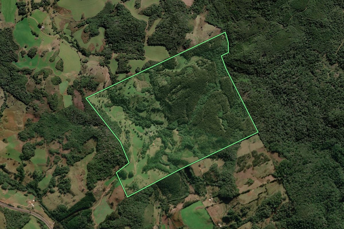 Imagem de satélite do imóvel rural em Vargem (SC), com o contorno declarado no CAR desenhado por cima.