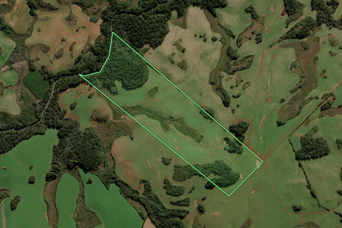 Imagem de satélite do imóvel rural em Vargem (SC), com o contorno declarado no CAR desenhado por cima.