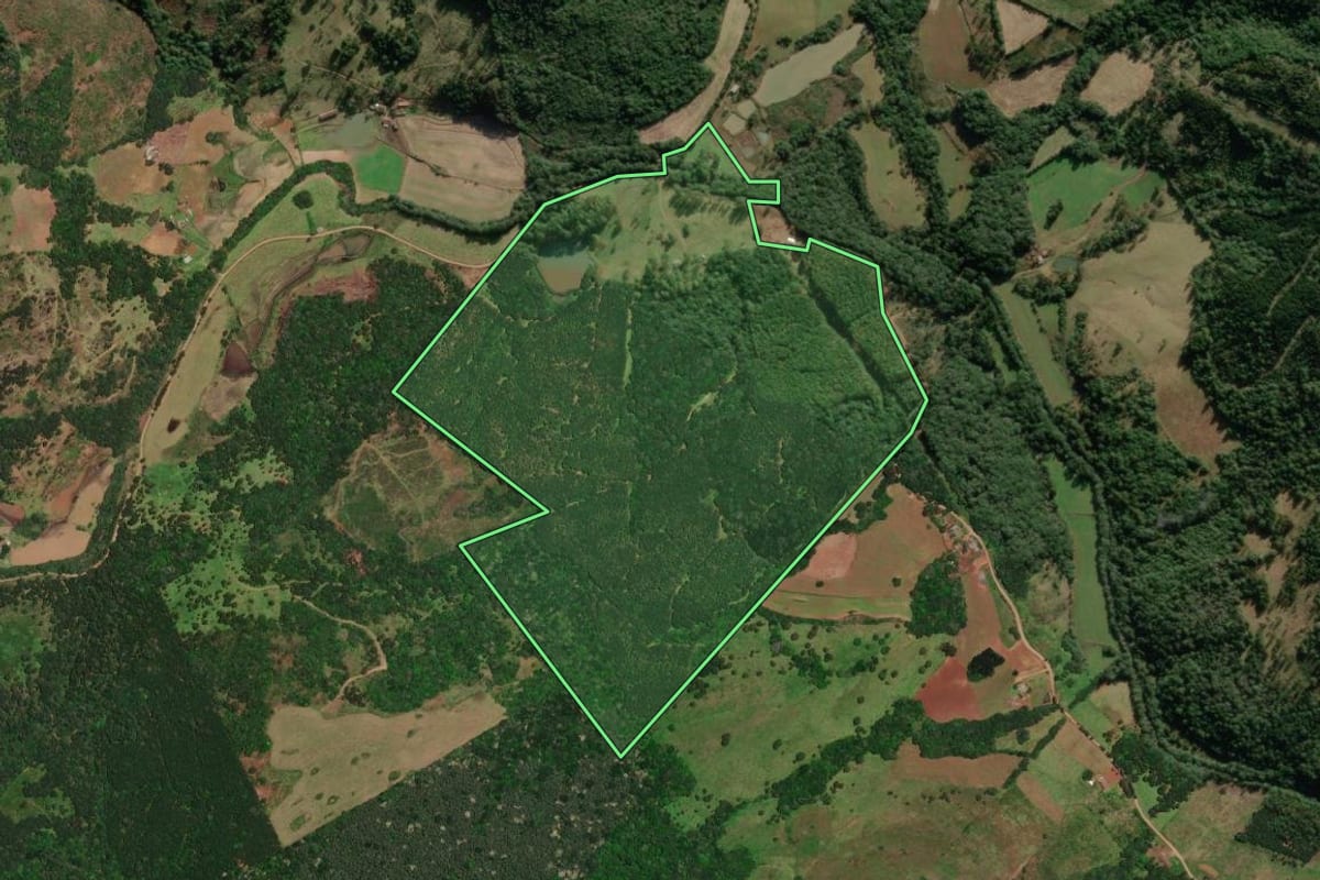 Imagem de satélite do imóvel rural em Vargem (SC), com o contorno declarado no CAR desenhado por cima.