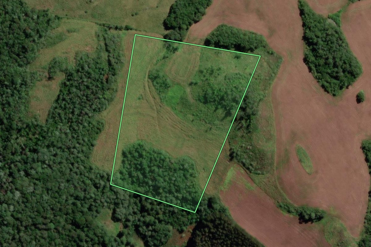 Imagem de satélite do imóvel rural em Vargem (SC), com o contorno declarado no CAR desenhado por cima.