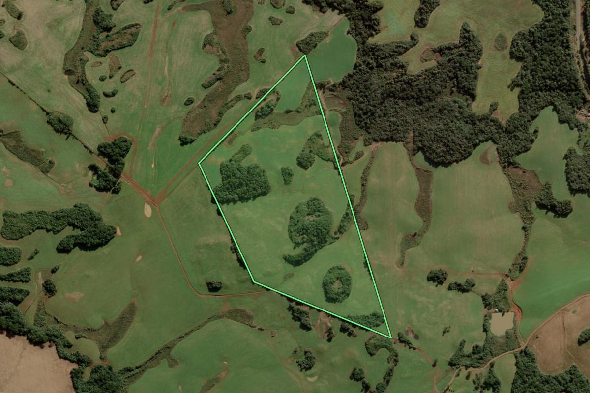 Imagem de satélite do imóvel rural em Vargem (SC), com o contorno declarado no CAR desenhado por cima.