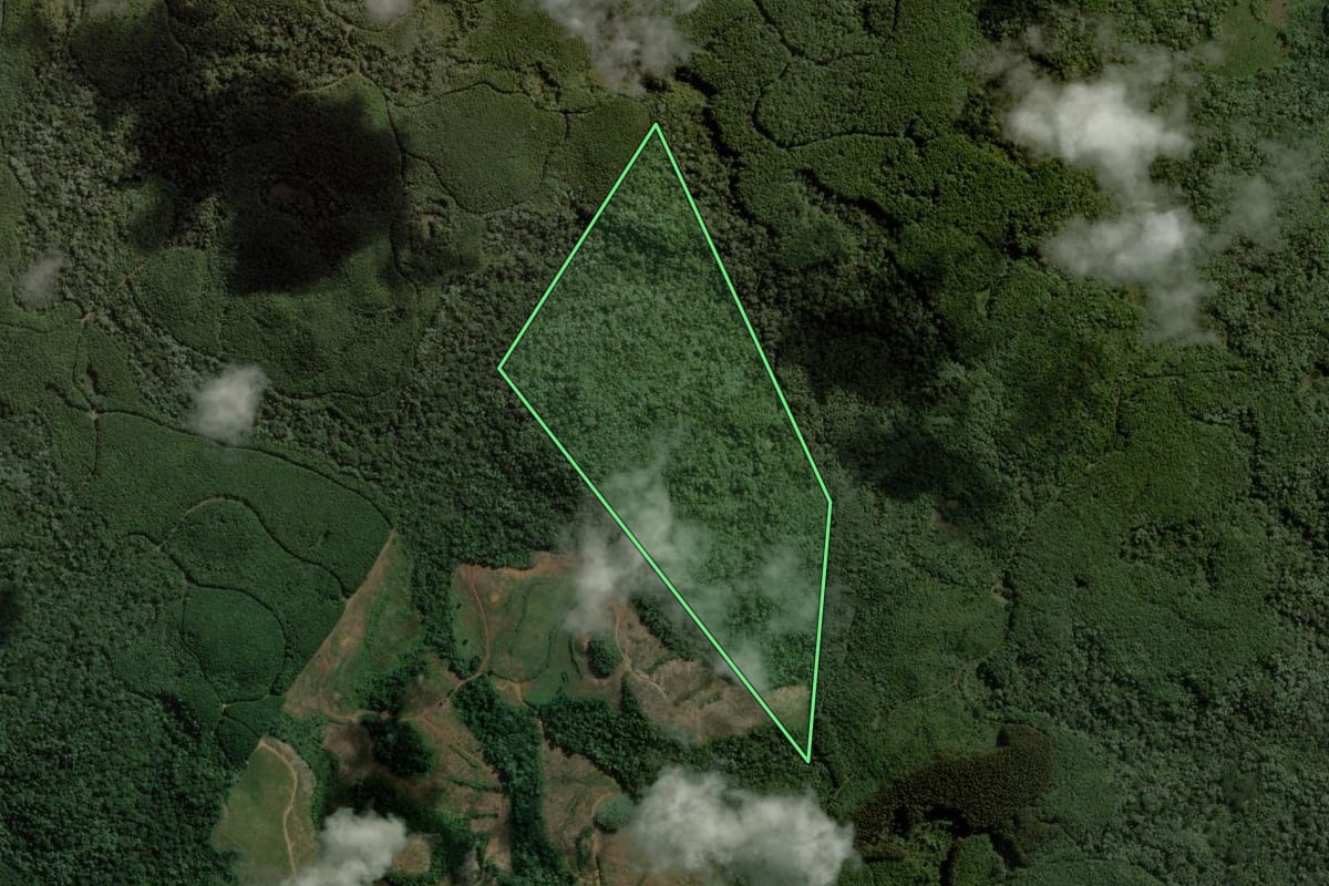 Imagem de satélite do imóvel rural em Vargem Bonita (SC), com o contorno declarado no CAR desenhado por cima.