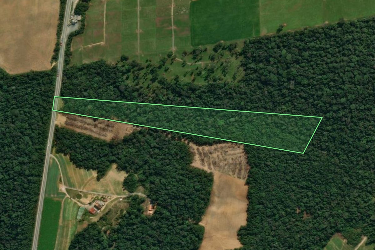 Imagem de satélite do imóvel rural em Vidal Ramos (SC), com o contorno declarado no CAR desenhado por cima.