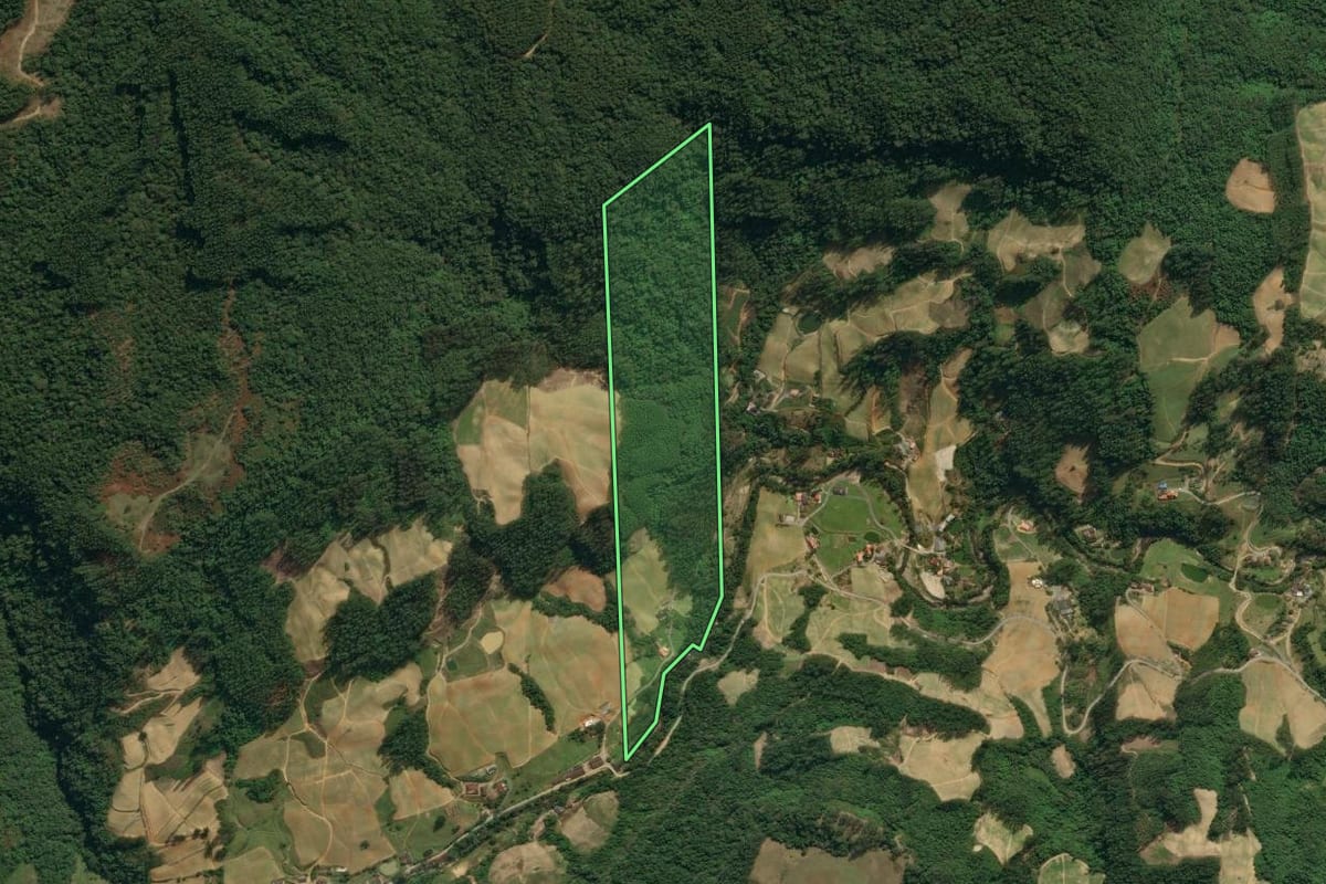 Imagem de satélite do imóvel rural em Vidal Ramos (SC), com o contorno declarado no CAR desenhado por cima.