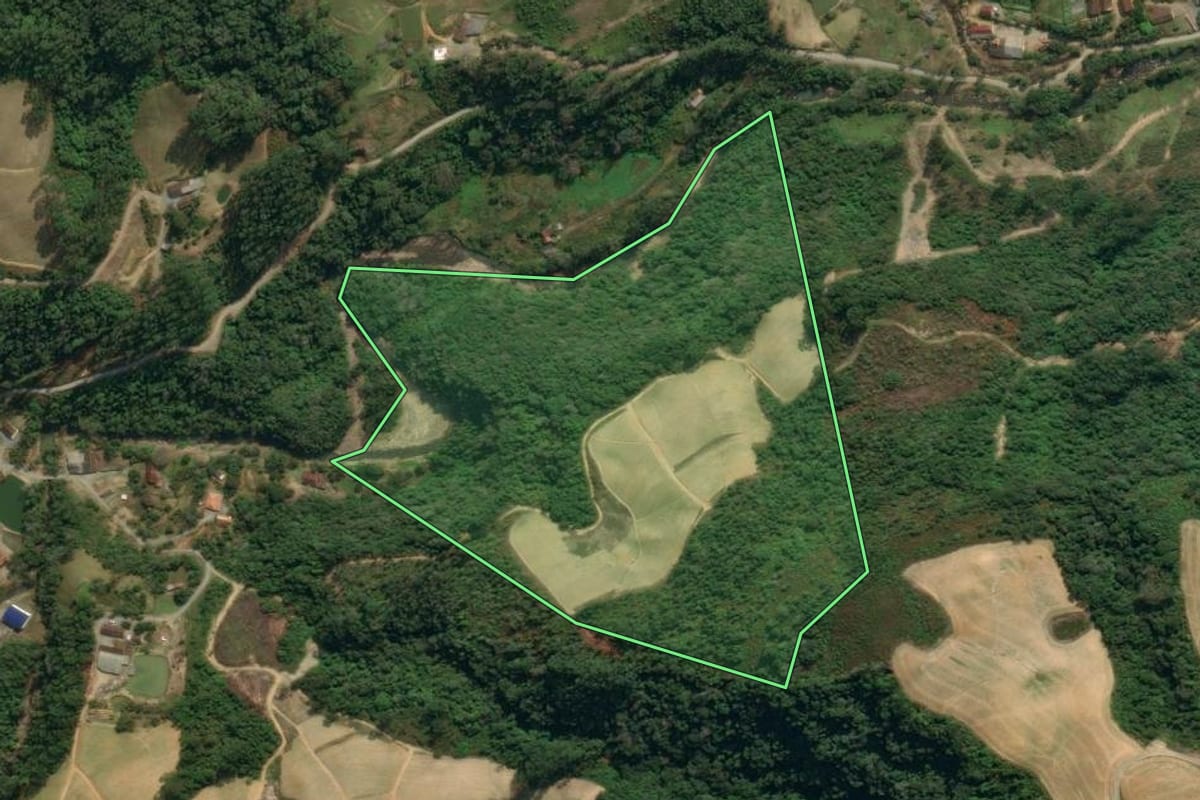 Imagem de satélite do imóvel rural em Vidal Ramos (SC), com o contorno declarado no CAR desenhado por cima.