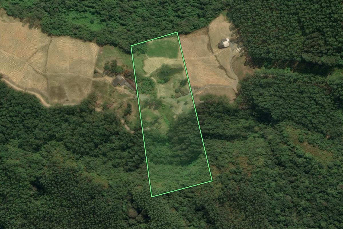 Imagem de satélite do imóvel rural em Vidal Ramos (SC), com o contorno declarado no CAR desenhado por cima.