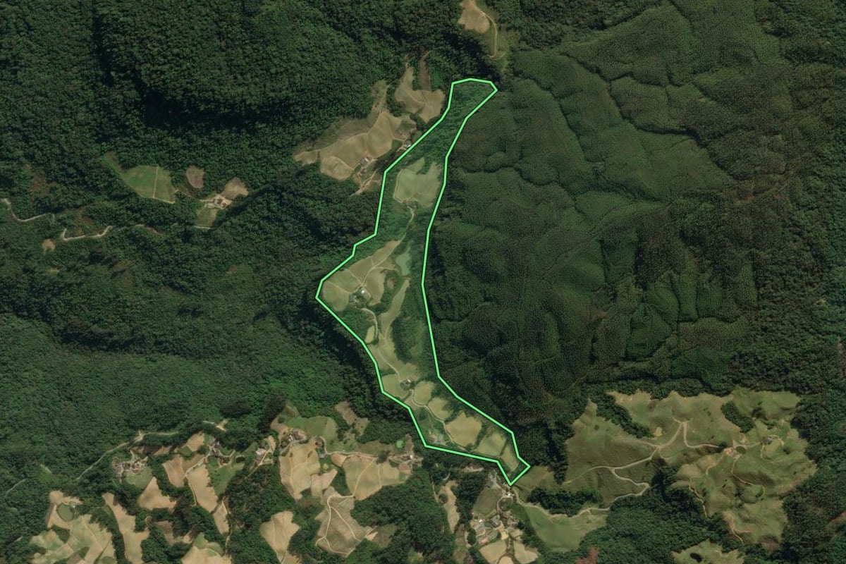 Imagem de satélite do imóvel rural em Vidal Ramos (SC), com o contorno declarado no CAR desenhado por cima.