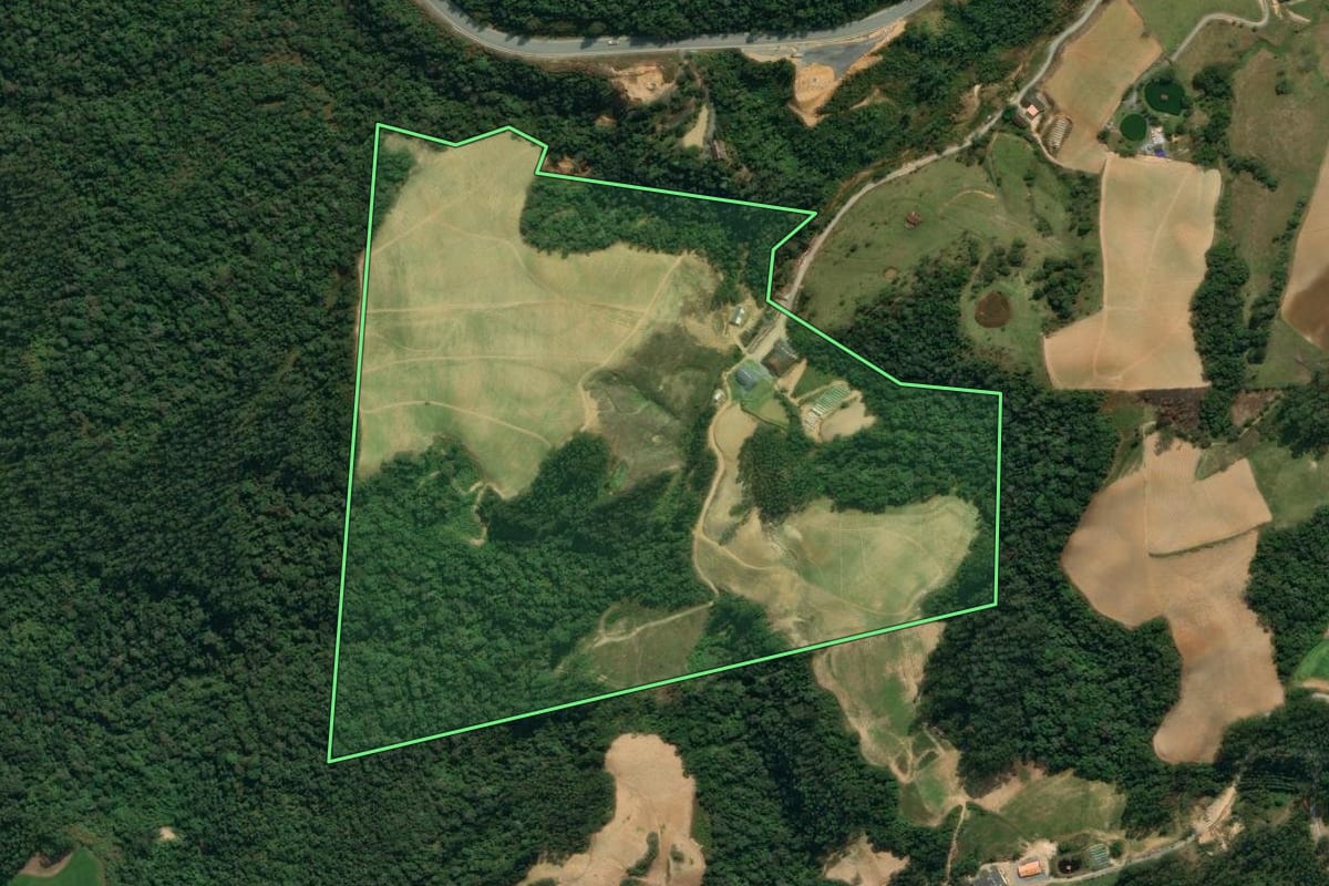 Imagem de satélite do imóvel rural em Vidal Ramos (SC), com o contorno declarado no CAR desenhado por cima.