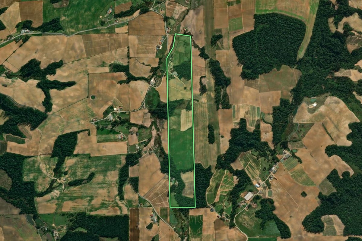 Imagem de satélite do imóvel rural em Vidal Ramos (SC), com o contorno declarado no CAR desenhado por cima.