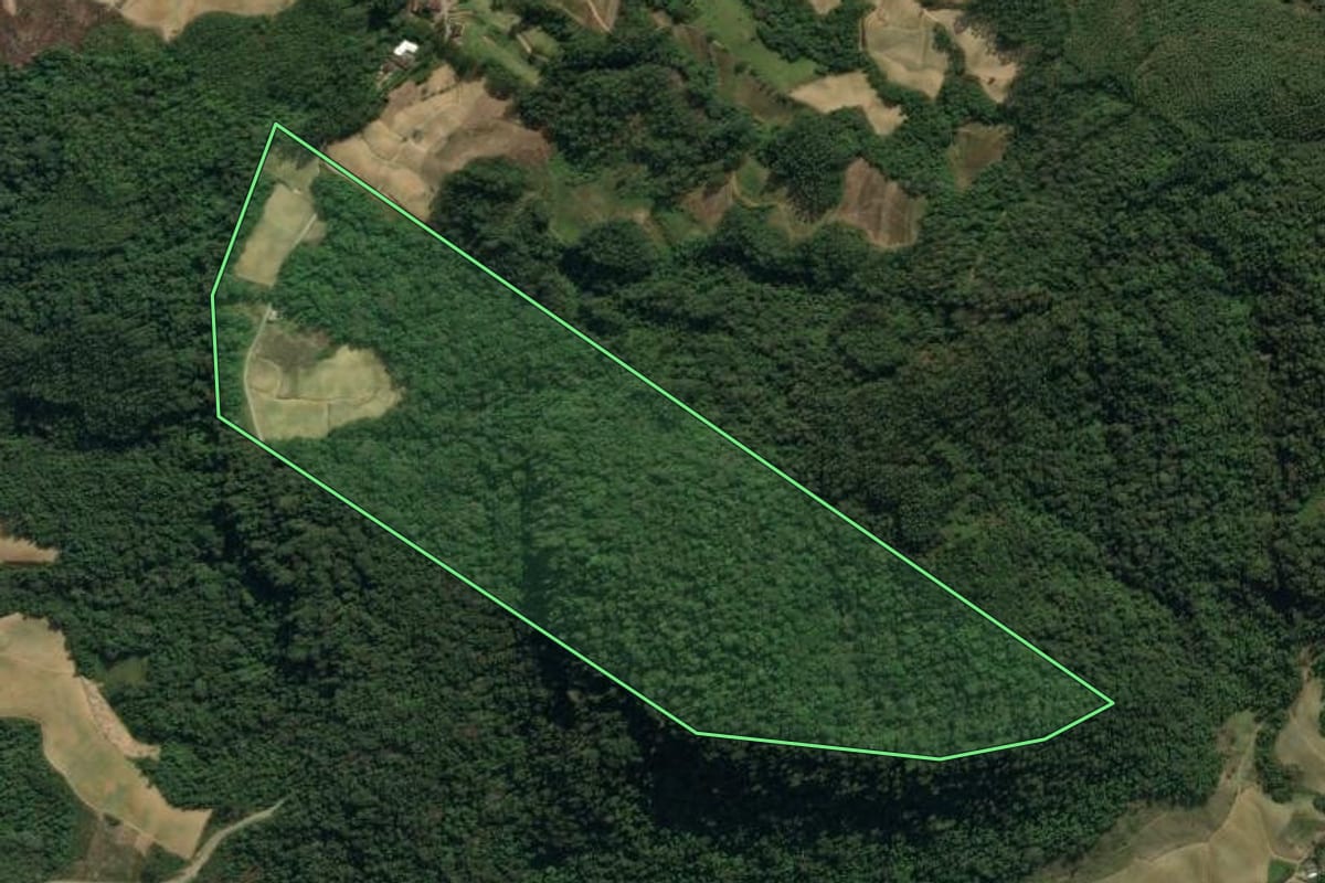 Imagem de satélite do imóvel rural em Vidal Ramos (SC), com o contorno declarado no CAR desenhado por cima.