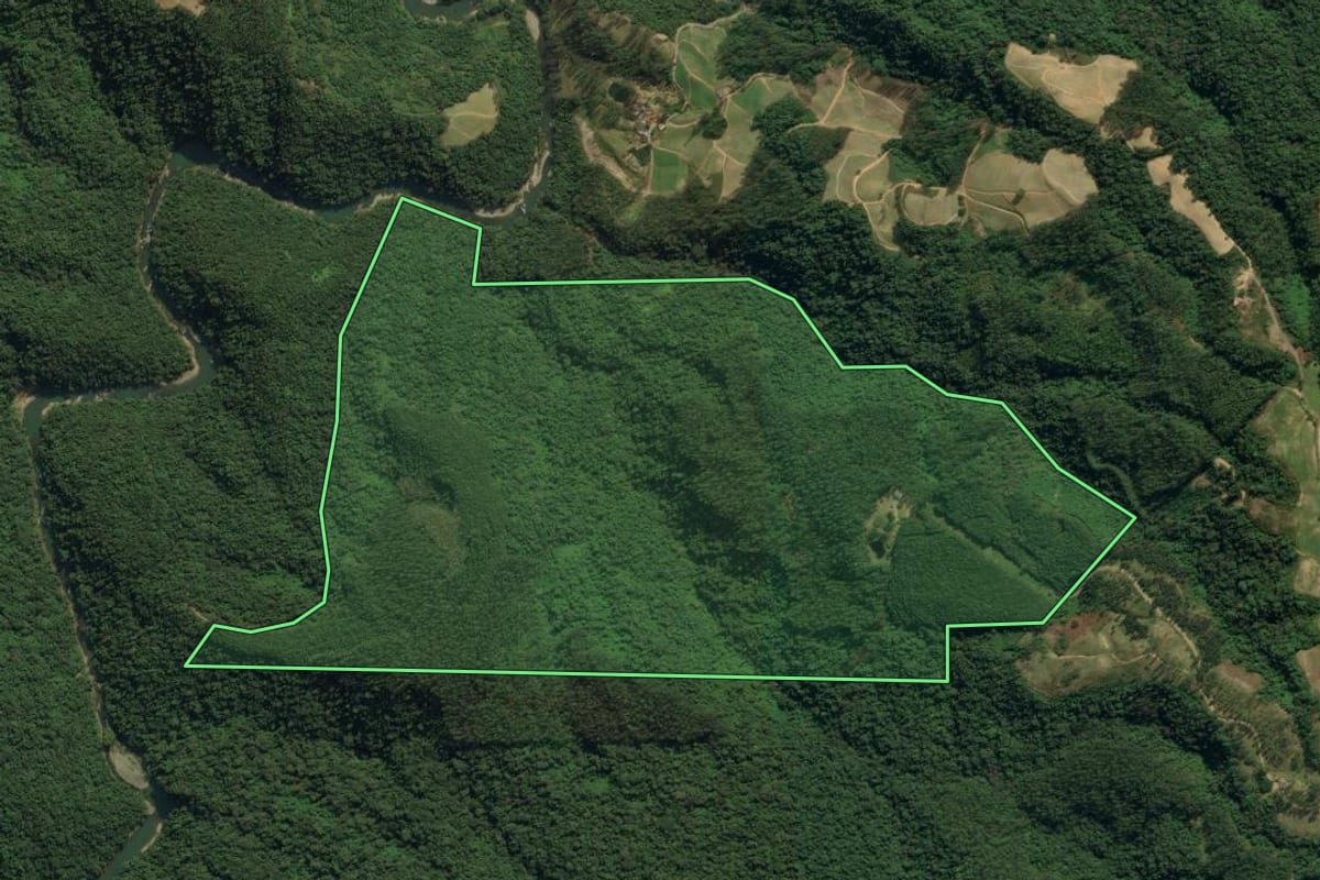 Imagem de satélite do imóvel rural em Vidal Ramos (SC), com o contorno declarado no CAR desenhado por cima.