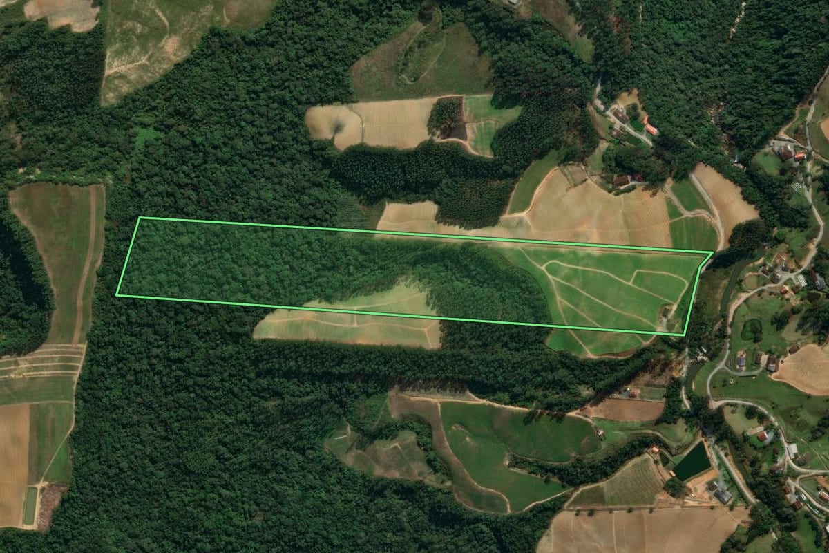 Imagem de satélite do imóvel rural em Vidal Ramos (SC), com o contorno declarado no CAR desenhado por cima.