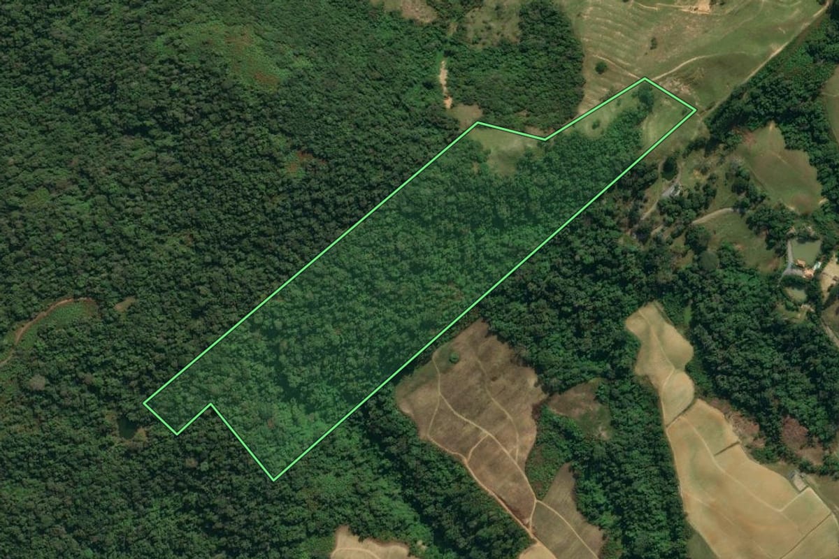 Imagem de satélite do imóvel rural em Vidal Ramos (SC), com o contorno declarado no CAR desenhado por cima.