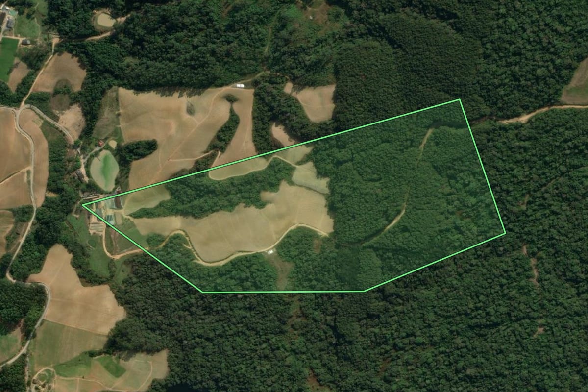 Imagem de satélite do imóvel rural em Vidal Ramos (SC), com o contorno declarado no CAR desenhado por cima.