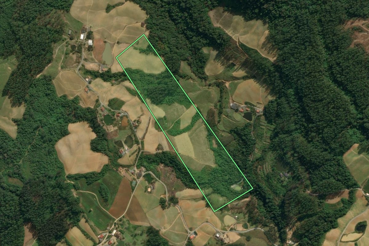 Imagem de satélite do imóvel rural em Vidal Ramos (SC), com o contorno declarado no CAR desenhado por cima.