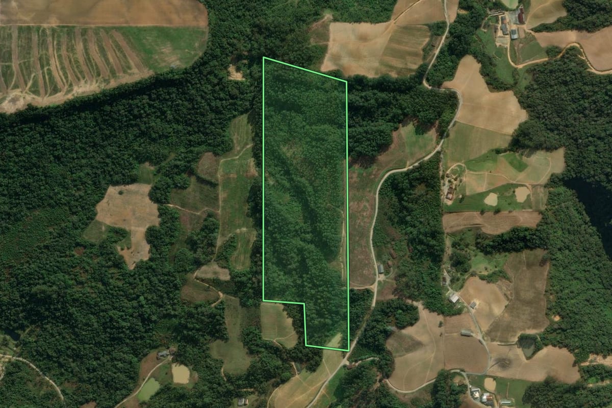 Imagem de satélite do imóvel rural em Vidal Ramos (SC), com o contorno declarado no CAR desenhado por cima.