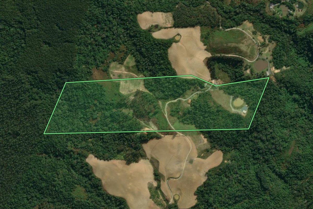 Imagem de satélite do imóvel rural em Vidal Ramos (SC), com o contorno declarado no CAR desenhado por cima.