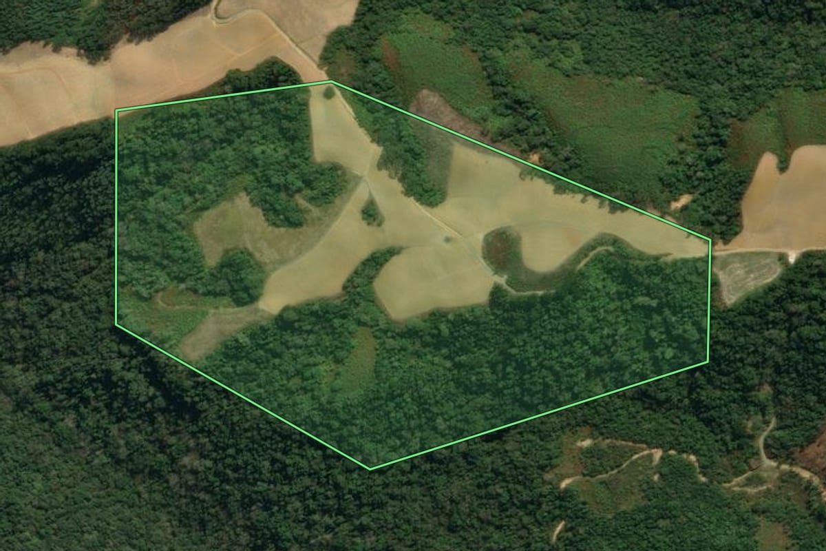 Imagem de satélite do imóvel rural em Vidal Ramos (SC), com o contorno declarado no CAR desenhado por cima.