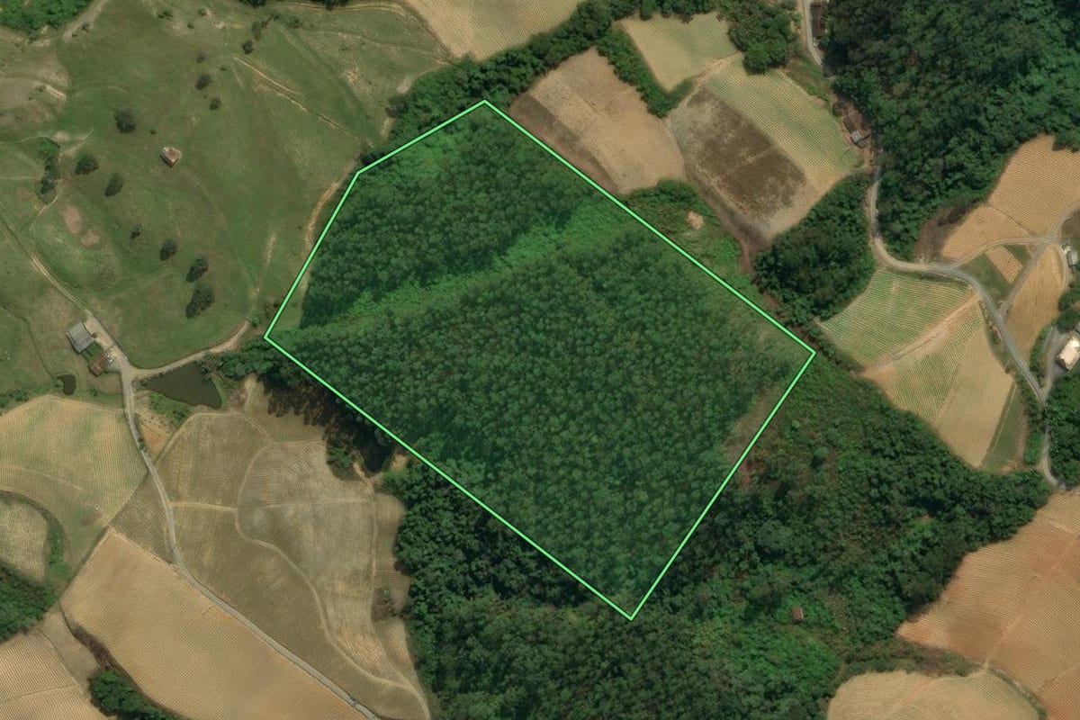 Imagem de satélite do imóvel rural em Vidal Ramos (SC), com o contorno declarado no CAR desenhado por cima.
