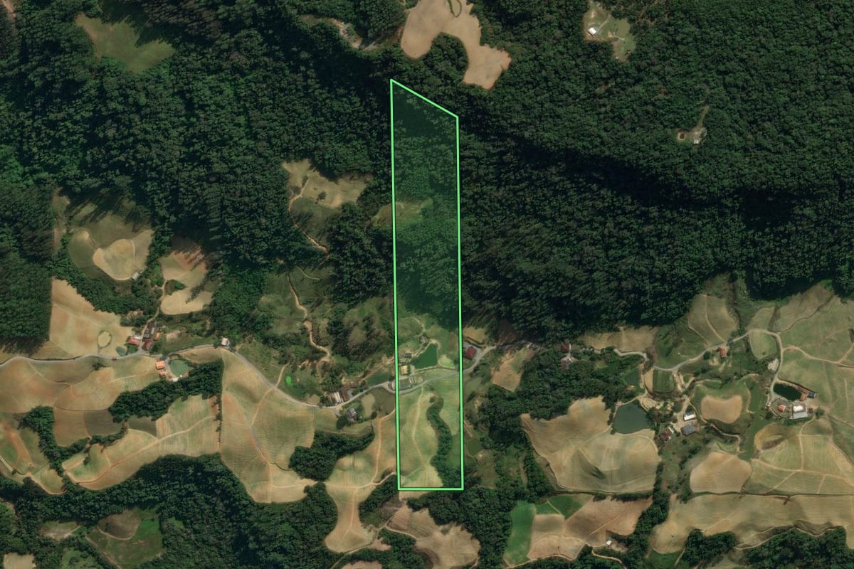 Imagem de satélite do imóvel rural em Vidal Ramos (SC), com o contorno declarado no CAR desenhado por cima.
