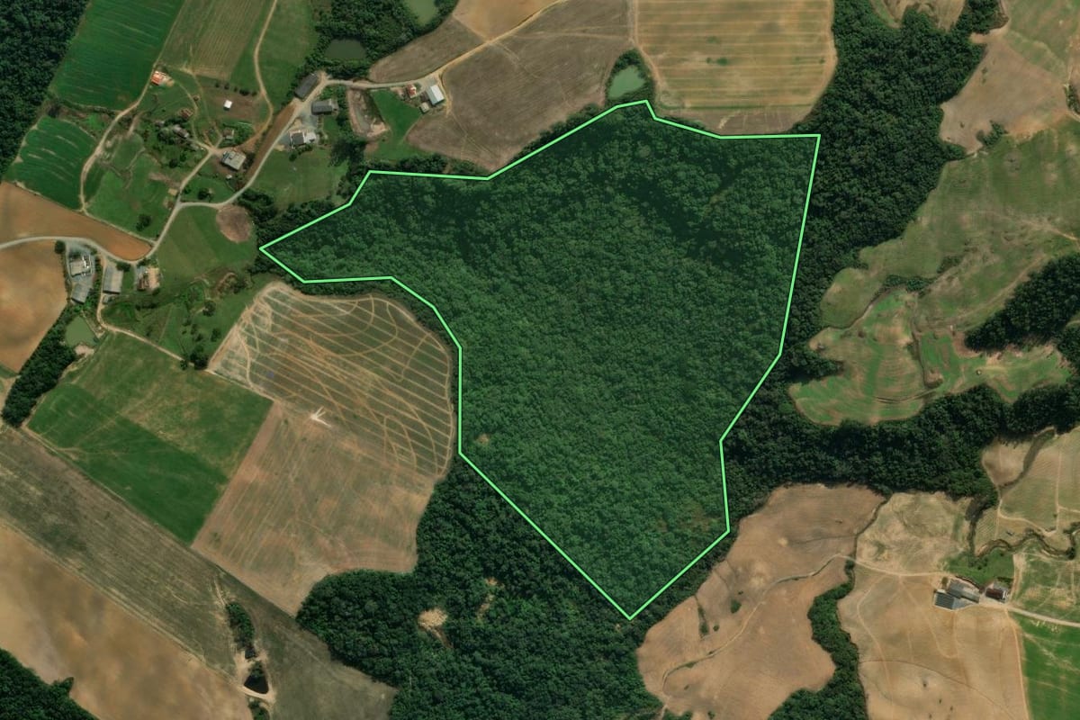 Imagem de satélite do imóvel rural em Vidal Ramos (SC), com o contorno declarado no CAR desenhado por cima.