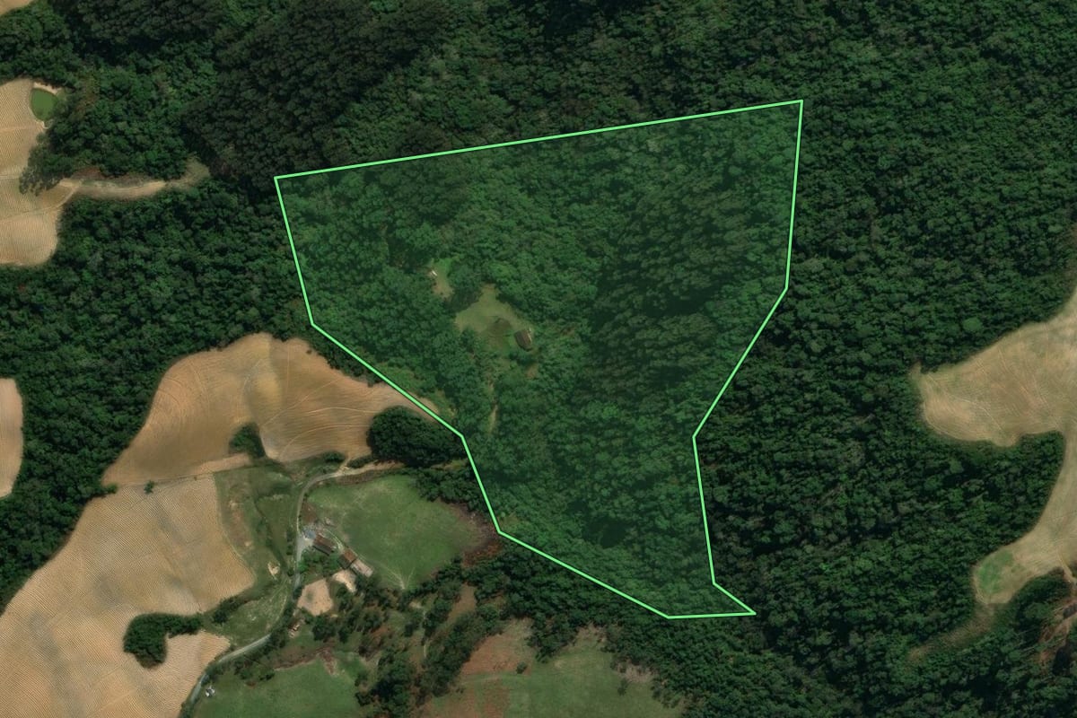 Imagem de satélite do imóvel rural em Vidal Ramos (SC), com o contorno declarado no CAR desenhado por cima.