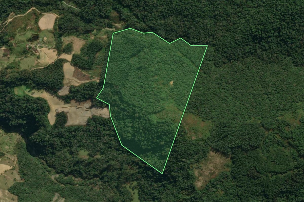 Imagem de satélite do imóvel rural em Vidal Ramos (SC), com o contorno declarado no CAR desenhado por cima.