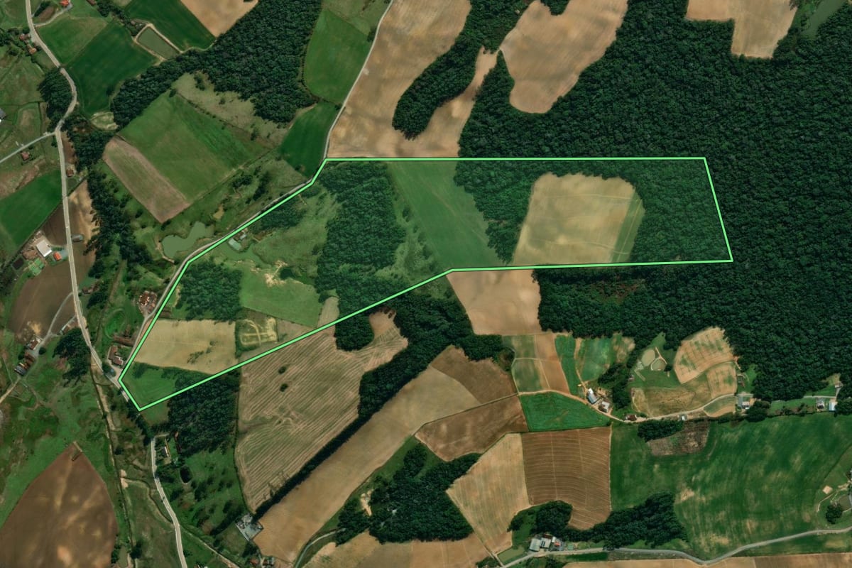 Imagem de satélite do imóvel rural em Vidal Ramos (SC), com o contorno declarado no CAR desenhado por cima.