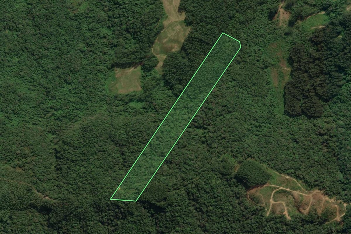 Imagem de satélite do imóvel rural em Vidal Ramos (SC), com o contorno declarado no CAR desenhado por cima.
