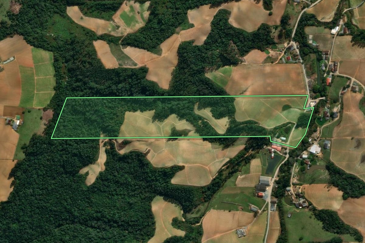 Imagem de satélite do imóvel rural em Vidal Ramos (SC), com o contorno declarado no CAR desenhado por cima.