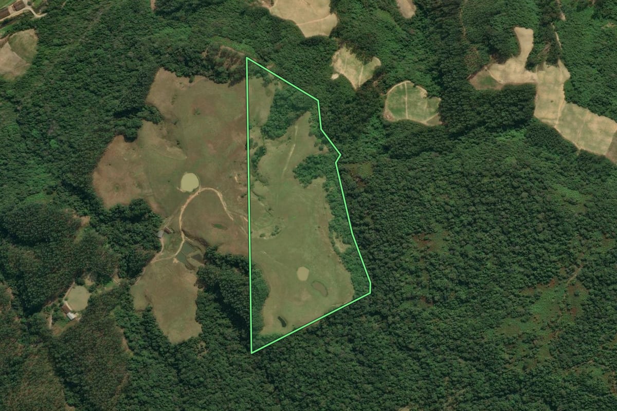 Imagem de satélite do imóvel rural em Vidal Ramos (SC), com o contorno declarado no CAR desenhado por cima.