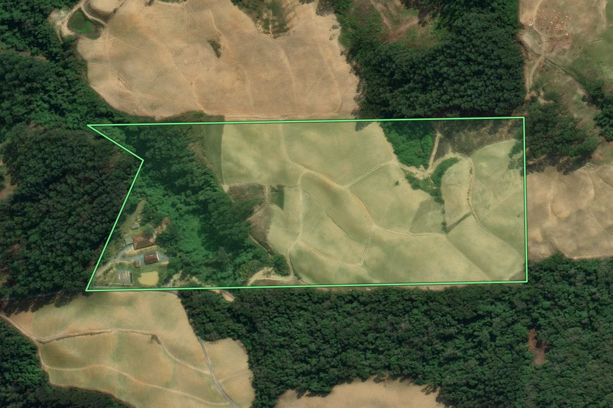 Imagem de satélite do imóvel rural em Vidal Ramos (SC), com o contorno declarado no CAR desenhado por cima.