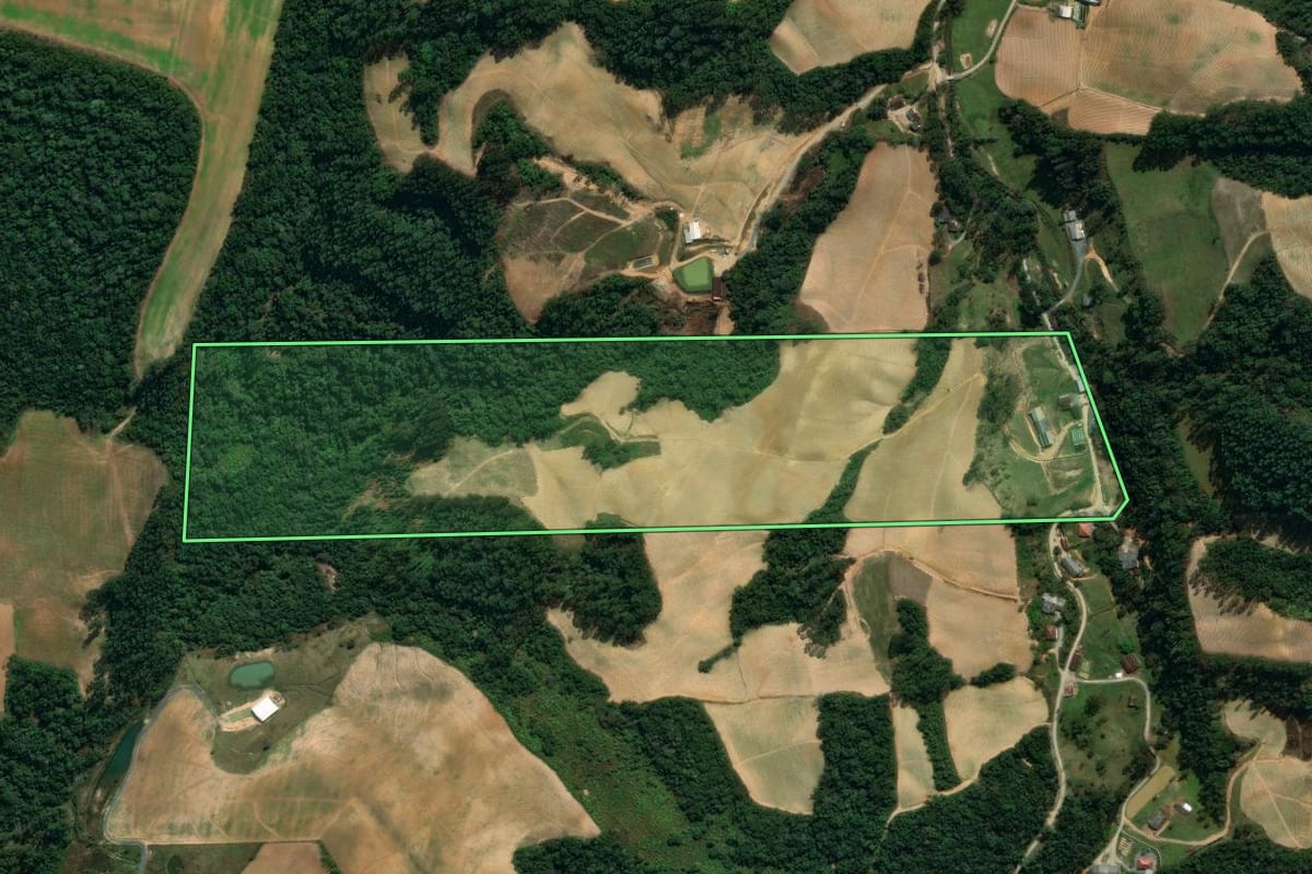 Imagem de satélite do imóvel rural em Vidal Ramos (SC), com o contorno declarado no CAR desenhado por cima.