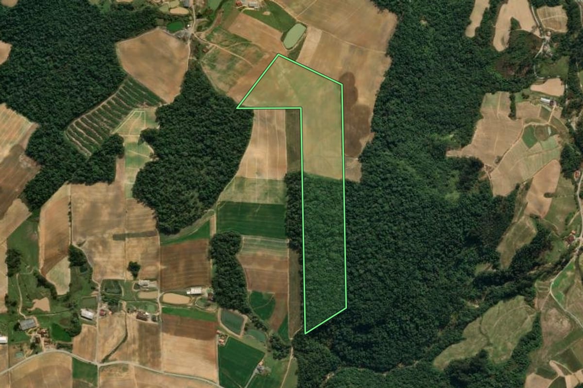 Imagem de satélite do imóvel rural em Vidal Ramos (SC), com o contorno declarado no CAR desenhado por cima.