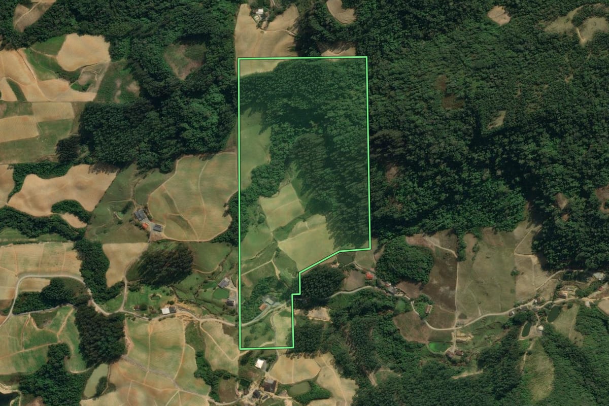 Imagem de satélite do imóvel rural em Vidal Ramos (SC), com o contorno declarado no CAR desenhado por cima.
