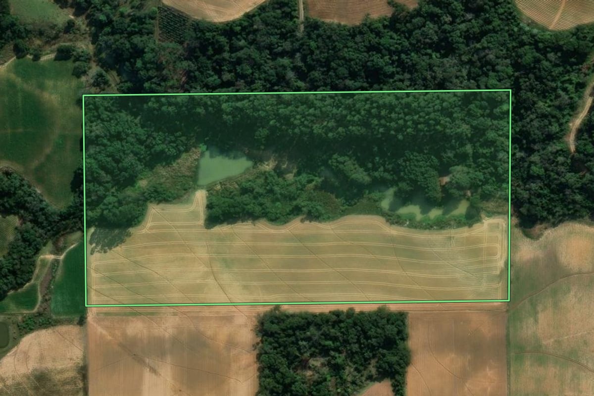 Imagem de satélite do imóvel rural em Vidal Ramos (SC), com o contorno declarado no CAR desenhado por cima.